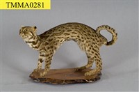 石虎藏品圖，第6張